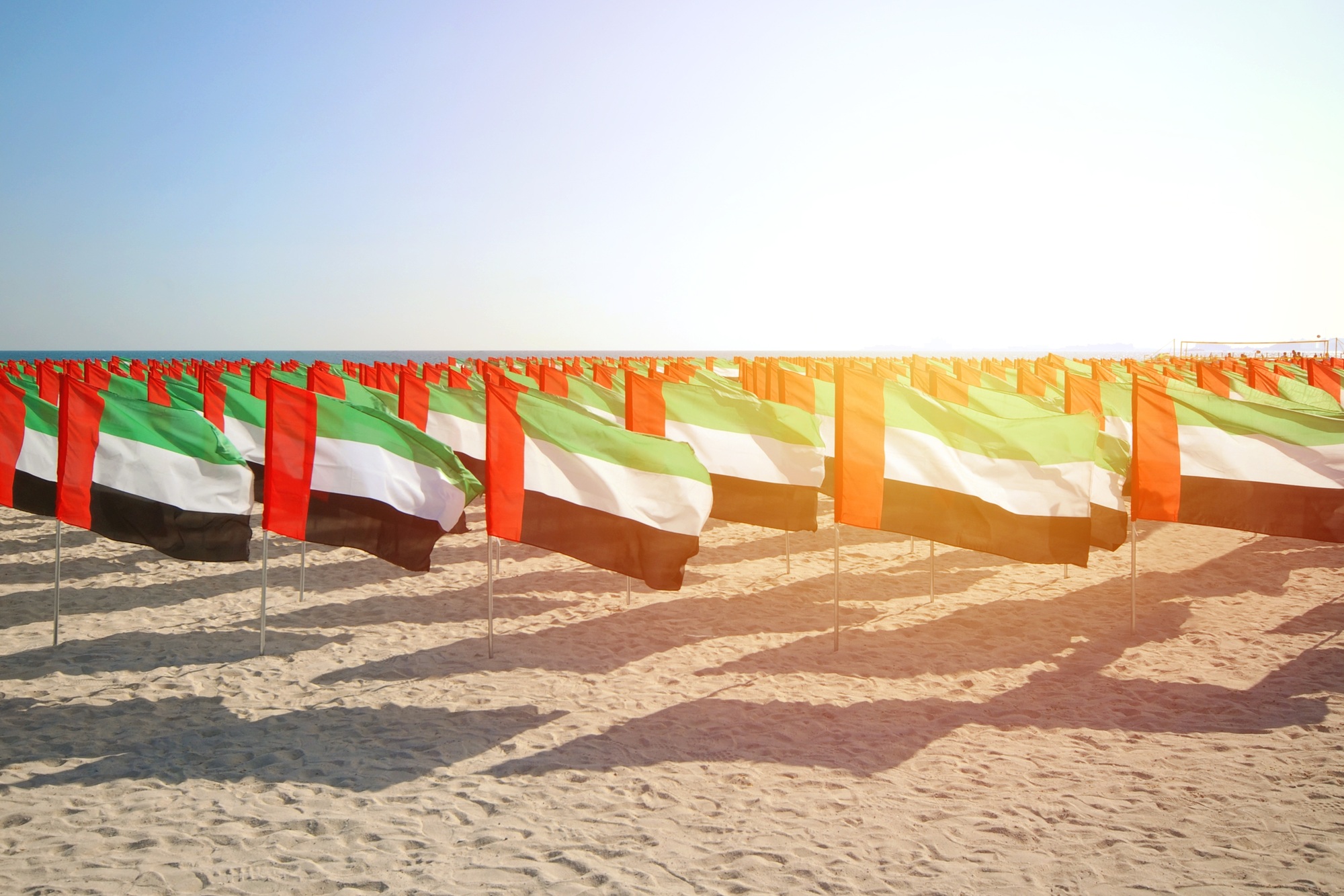 Many Flags of the United Arab Emirates waving in the wind. UAE independence day concept